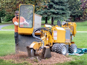 Stump Removal